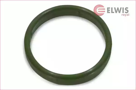 Прокладка, впускной коллектор - Elwis Royal 0256063