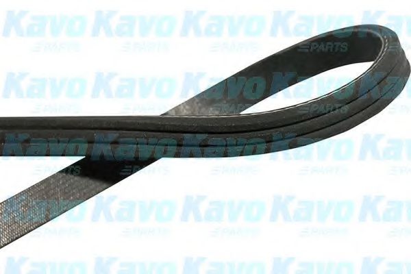 Ремень поликлиновый - KAVO PARTS DMV-9053