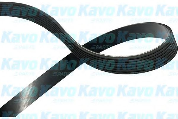 Ремень поликлиновый - KAVO PARTS DMV-9097