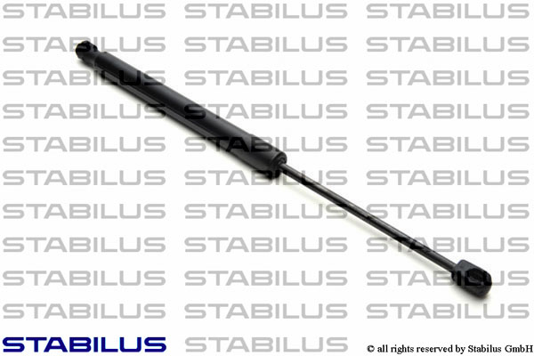 Упругий элемент, крышка багажника / помещения для груза - Stabilus 1571DG