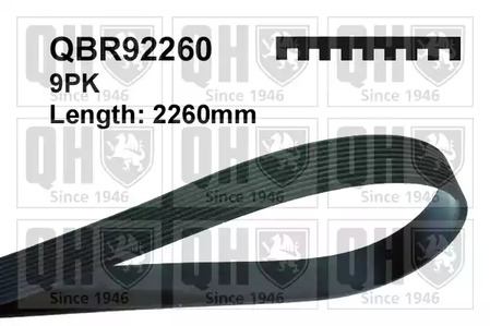 Ремень поликлиновый - Quinton Hazell QBR92260