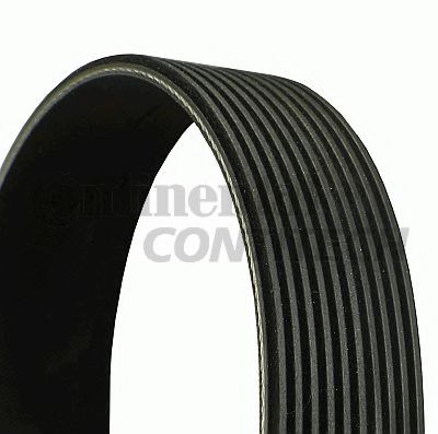 Ремень поликлиновый - Contitech 10PK1626