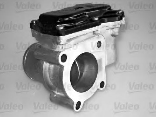 Патрубок дроссельной заслонки - Valeo 700431