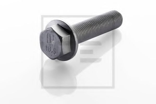 Болт, диск тормозного механизма - PE Automotive 010.169-00A