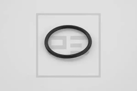 Уплотнительное кольцо - PE Automotive 266.513-00A