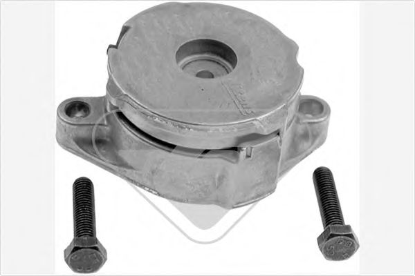 Натяжной ролик, поликлиновой  ремень - Hutchinson T0254