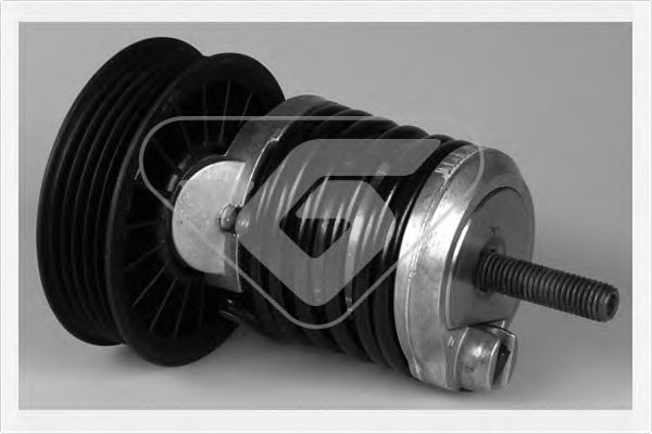 Натяжной ролик, поликлиновой  ремень - Hutchinson T0255