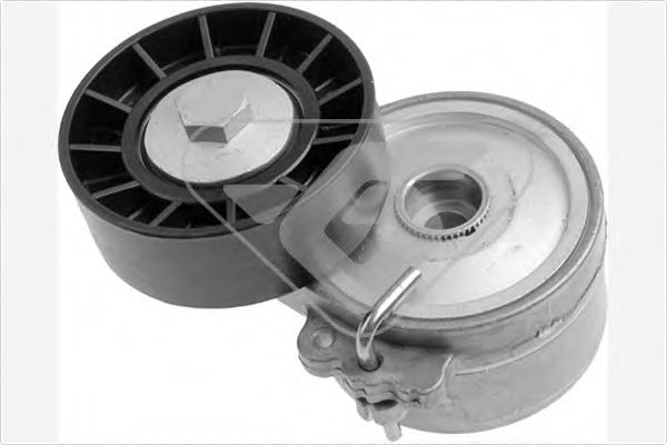 Натяжной ролик, поликлиновой  ремень  - Hutchinson T0306