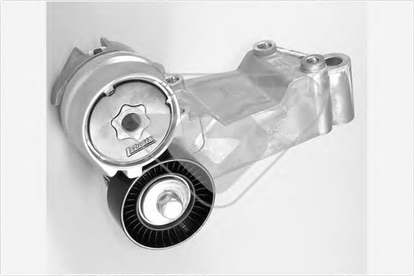 Натяжной ролик, поликлиновой  ремень - Hutchinson T0338