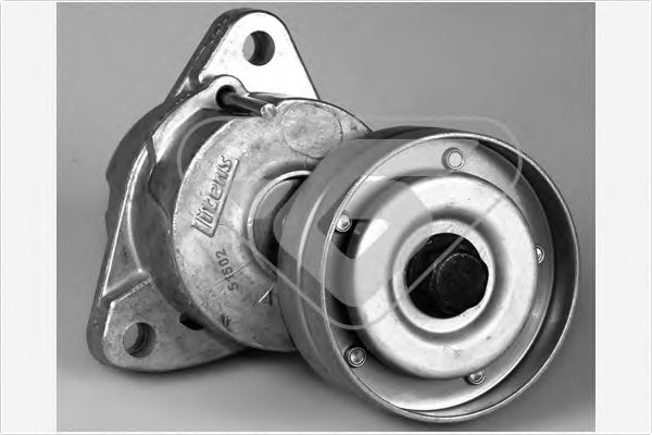 Натяжной ролик, поликлиновой  ремень - Hutchinson T0347