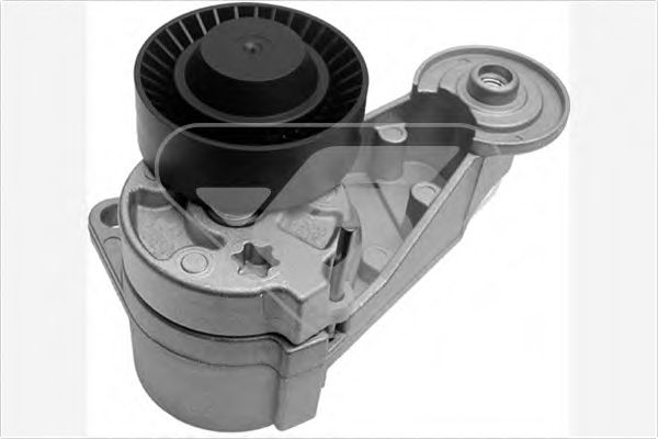 Натяжной ролик, поликлиновой  ремень - Hutchinson T0382