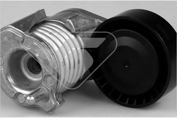 Натяжной ролик, поликлиновой  ремень - Hutchinson T0385