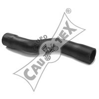 Шланг радиатора - CAUTEX 016339