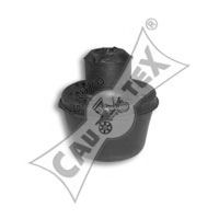 Подвеска, радиатор - CAUTEX 020500