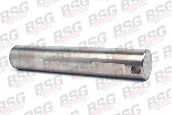 Комплект уравнив. конического зубчатого колеса, дифференциал - BSG BSG 30-455-001