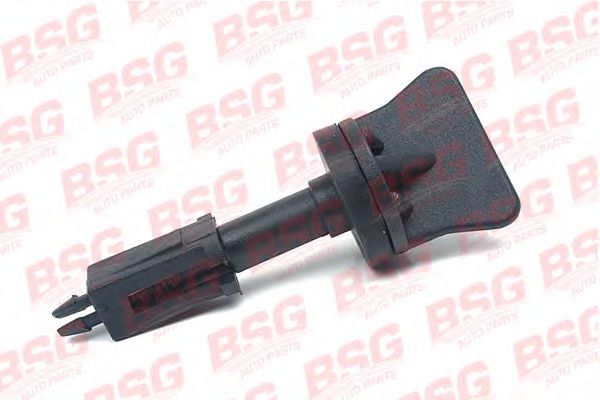 Болт воздушного клапана / вентиль, радиатор - BSG BSG 30-521-001