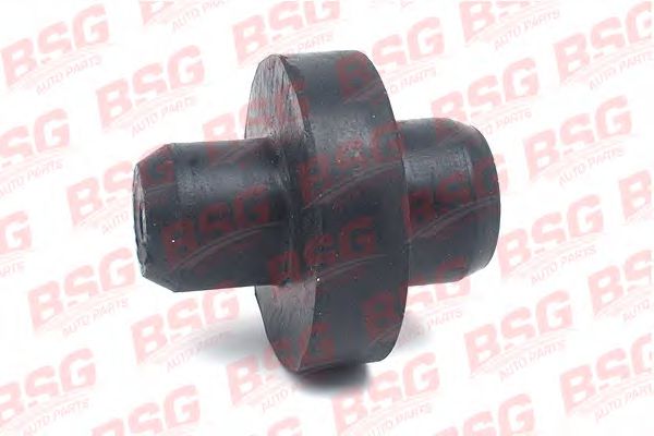 Подвеска, радиатор - BSG BSG 30-700-027
