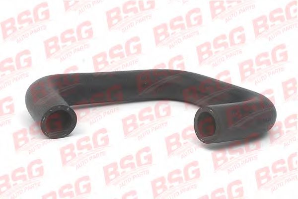 Шланг - BSG BSG 30-720-048