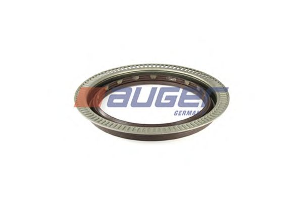 Уплотняющее кольцо ступица колеса HCV