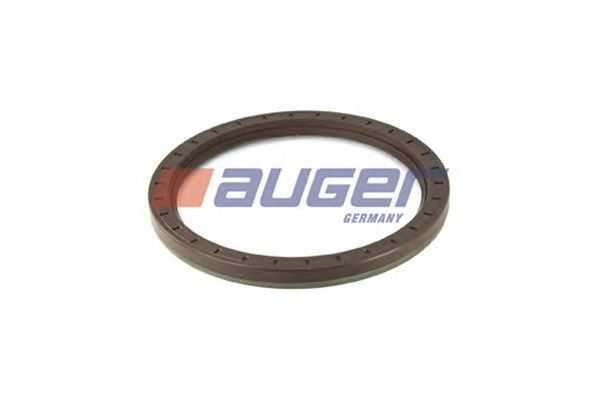 Уплoтнитeльнoe кoльцo Ступица колеса HCV