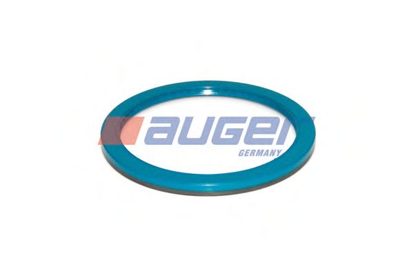 Уплoтнитeльнoe кoльцo, Ступица колеса HCV - Auger 73394