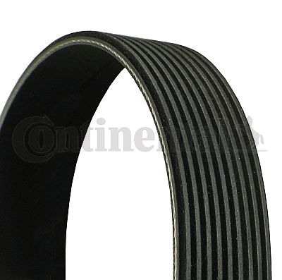 Ремень поликлиновый - Contitech 9PK2337