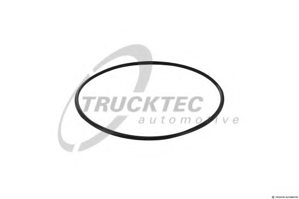 Уплотнительное кольцо - Trucktec Automotive 01.13.199