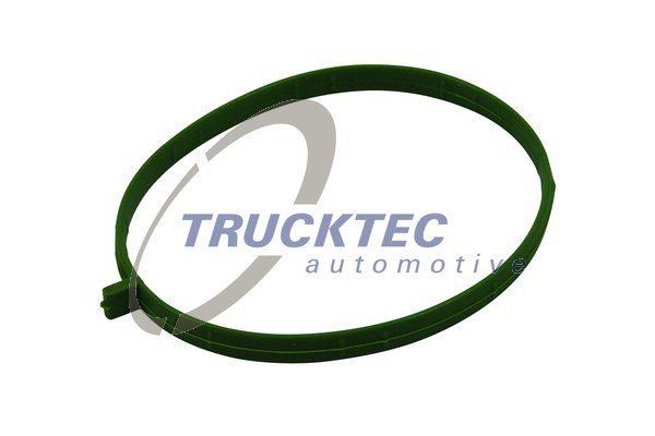 Прокладка, корпус впускного коллектора - Trucktec Automotive 02.16.058