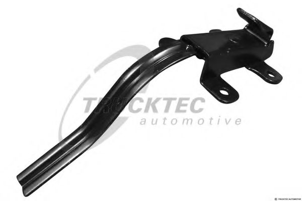 Фиксатор двери | зад | - Trucktec Automotive 02.53.231