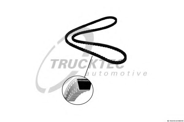Клиновой ремень - Trucktec Automotive 03.19.009