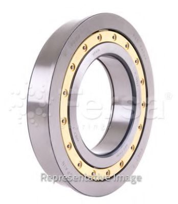 Подшипник дифференциала r 560/660, RB 660 Scania - FERSA F19076