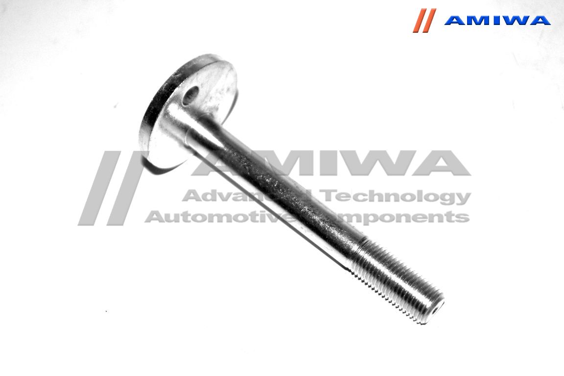 Болт с эксцентриком - Amiwa 0135110