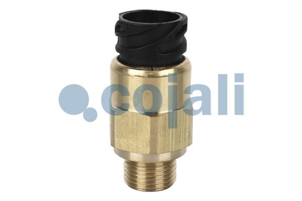 Датчик HCV - COJALI 2260282