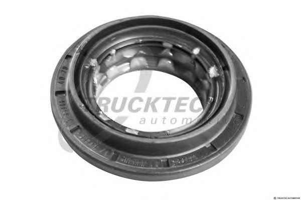 Уплотняющее кольцо, дифференциал - Trucktec Automotive 02.67.251