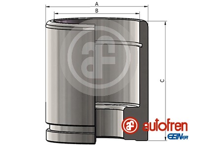 Поршень тормозного суппорта | зад | D60 - Seinsa Autofren D025376