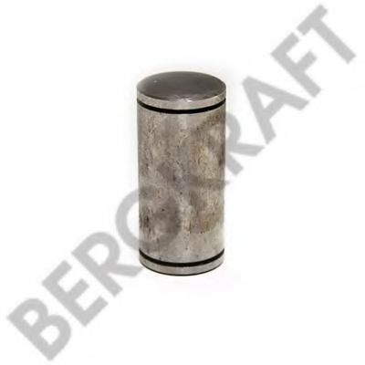 Болт тормозной колодки - BERGKRAFT BK7900204