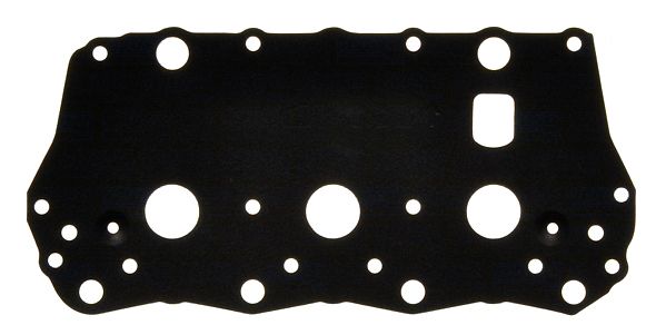 Прокладка крышки ГБЦ - BGA RC6599