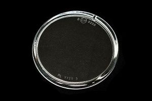 Стекло фары противотум лев - BodyParts RNMEG99080L