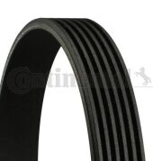 Ремень приводной форд фокус 2 1,6 (100-115) contin - CONTINENTAL 6PK1060