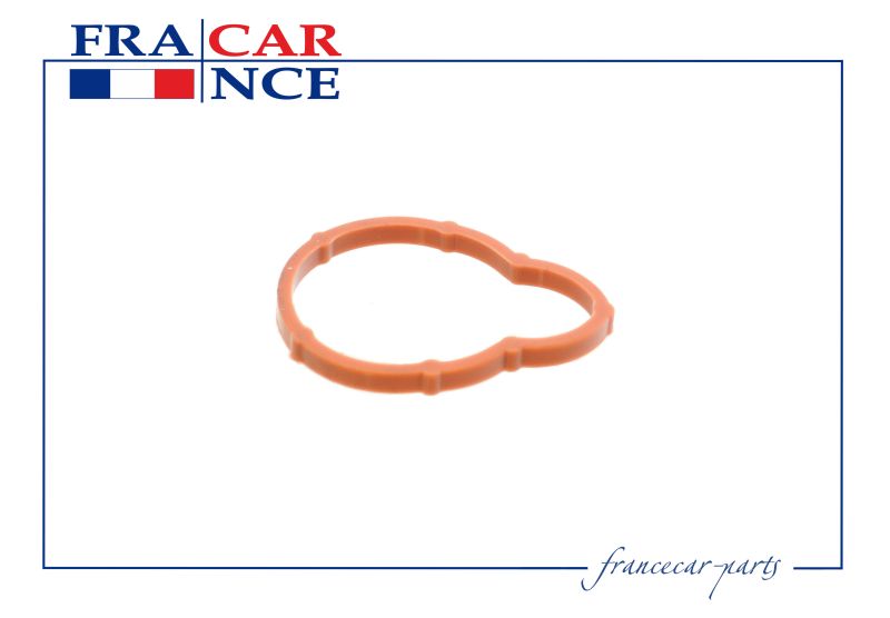 Прокладка впускного коллектора - Francecar FCR210229