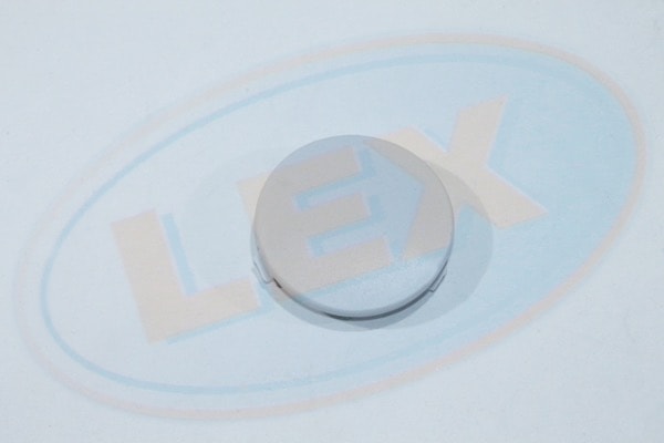 Заглушка в задний бампер (буксировочного крюка) - LEX ZG1235