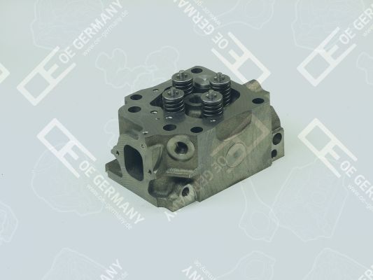 Головка блока (с клапанами) mb om501la/om502la, m1 - OE GERMANY 010129501001