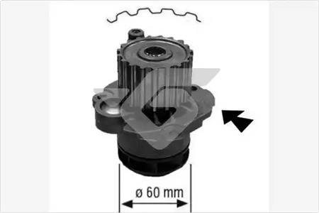 WP126 Запчасть Hutchinson