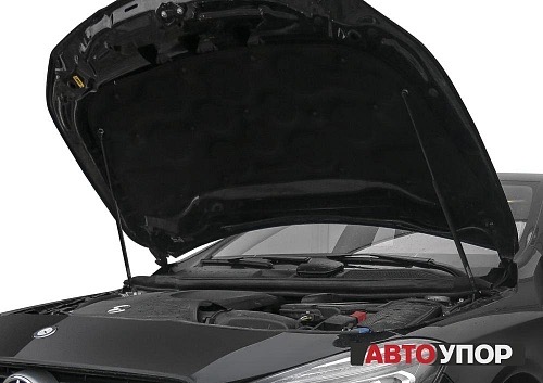 Амортизаторы капота, Mercedes Benz CLA v - все, 2013-..., крепеж в комплекте, сталь - Автоупор UMBCLA012