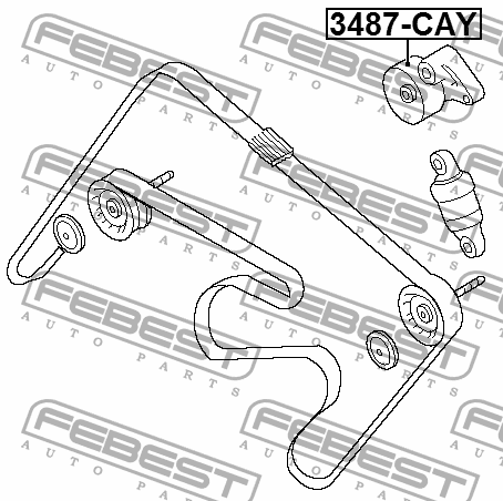 Ролик натяжной прав лев Febest 3487-CAY 3006₽