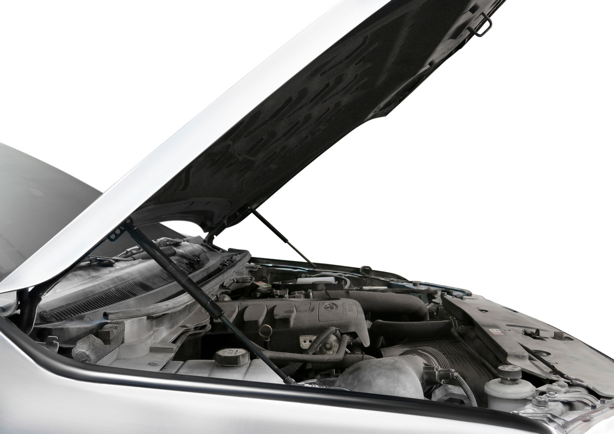 Амортизаторы капота (2 шт.) Ford Ranger (2011-2015) - Автоупор UFDRAN011