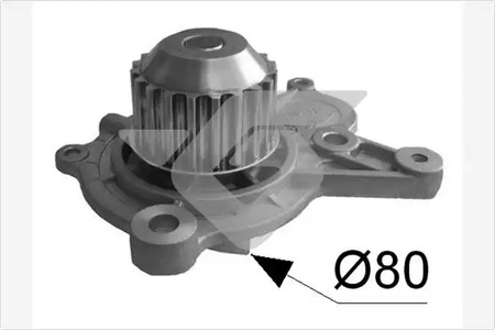 Насос - Hutchinson WP191