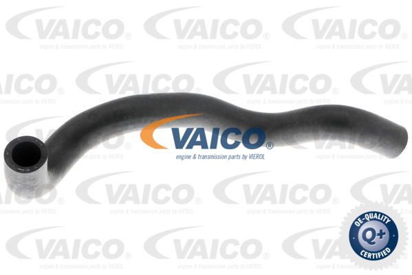 Шлангопровод - Vaico V10-4653