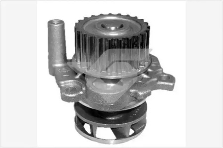 Насос - Hutchinson WP51