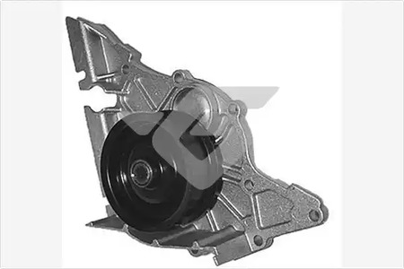 Насос - Hutchinson WP270